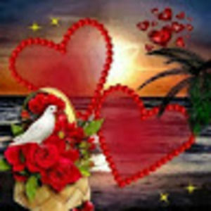 Meet your Posher, Paz